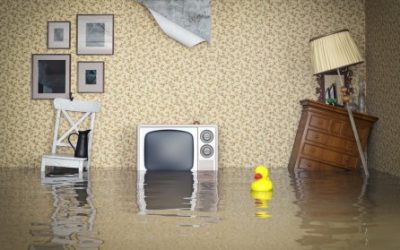 Flooding Got You Down?  Here’s some tips and tricks for dealing with the aftermath…